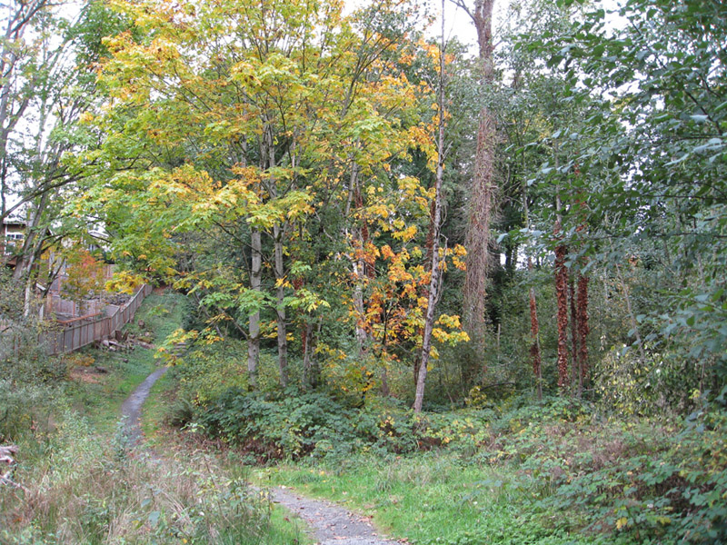 020October 2008 Cotton Hill Park 006