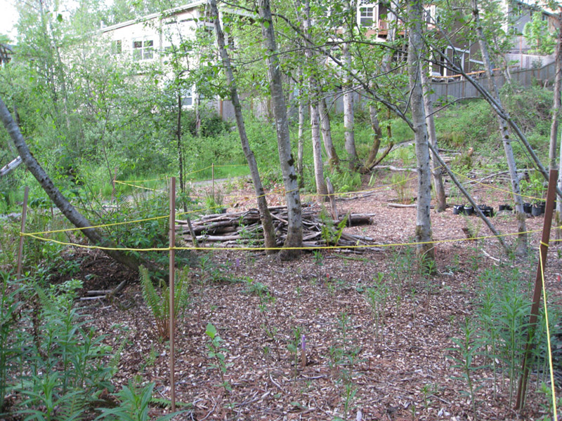 050035May 2009 Wetlands and CHP 121