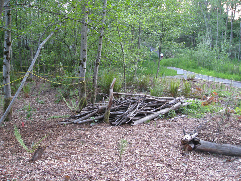 056050May 2009 Wetlands and CHP 105