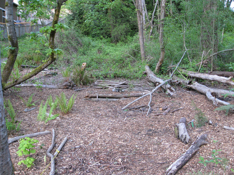 058055May 2009 Wetlands and CHP 102