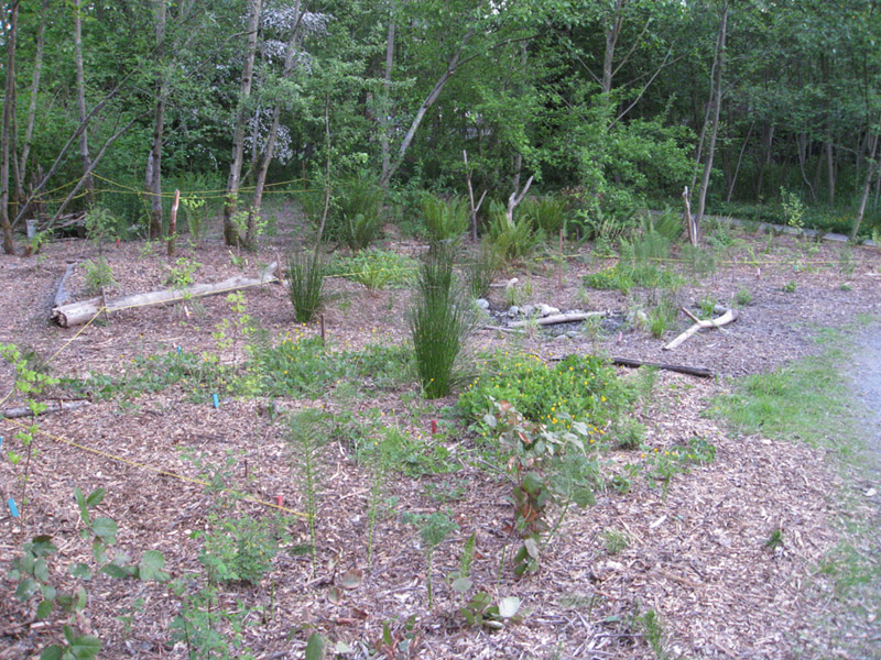 0952009 May CHP Polygon 1B-2