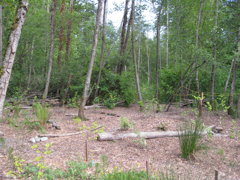 1002009 May CHP After 008