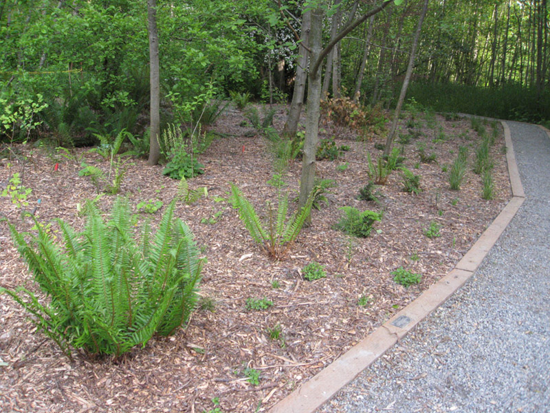 1152009 May CHP After 002