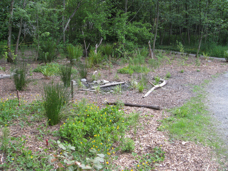 1302009 CHP After 004